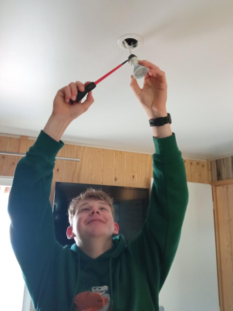 Elektrycy galeria Praktyki Vet we Francji (10)