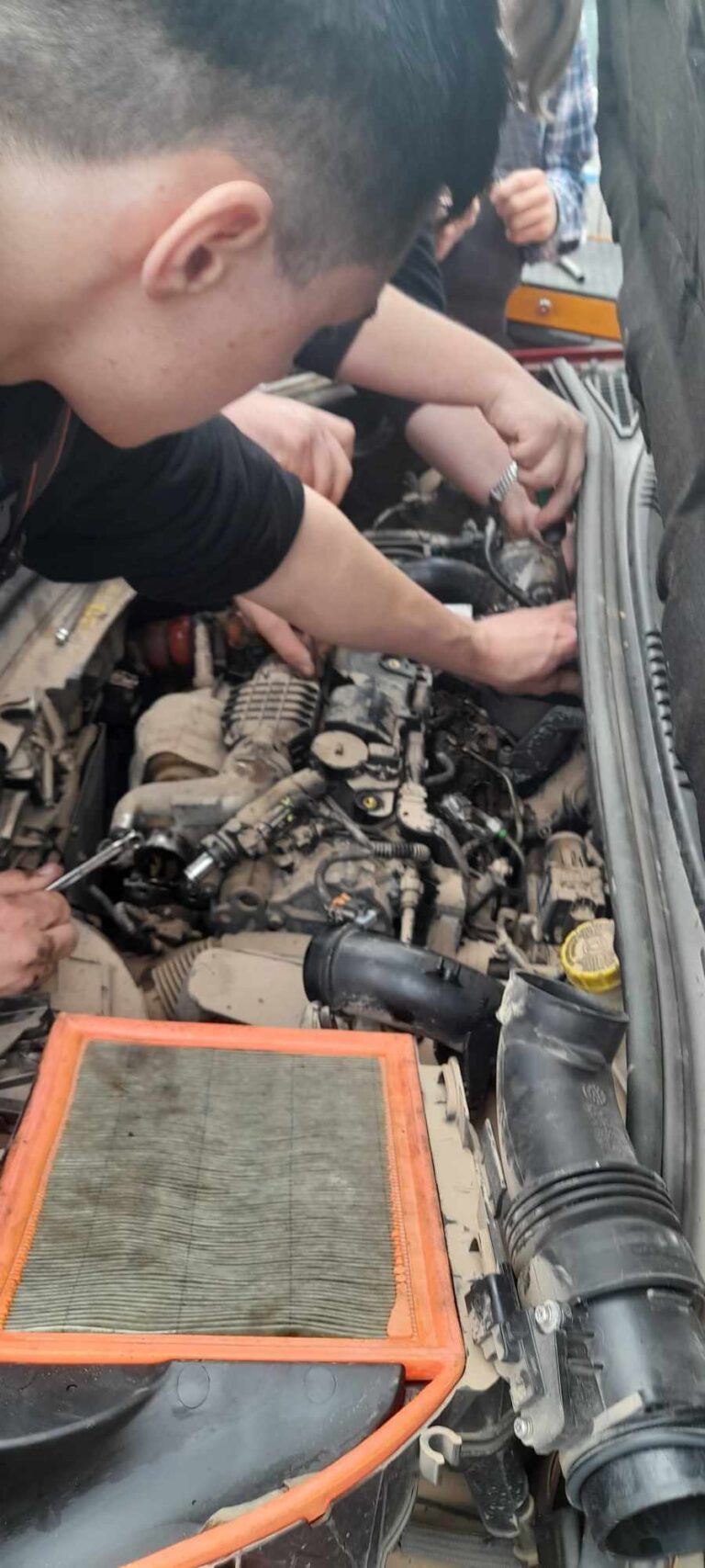 Mechanicy galeria Praktyki Vet we Francji (2)