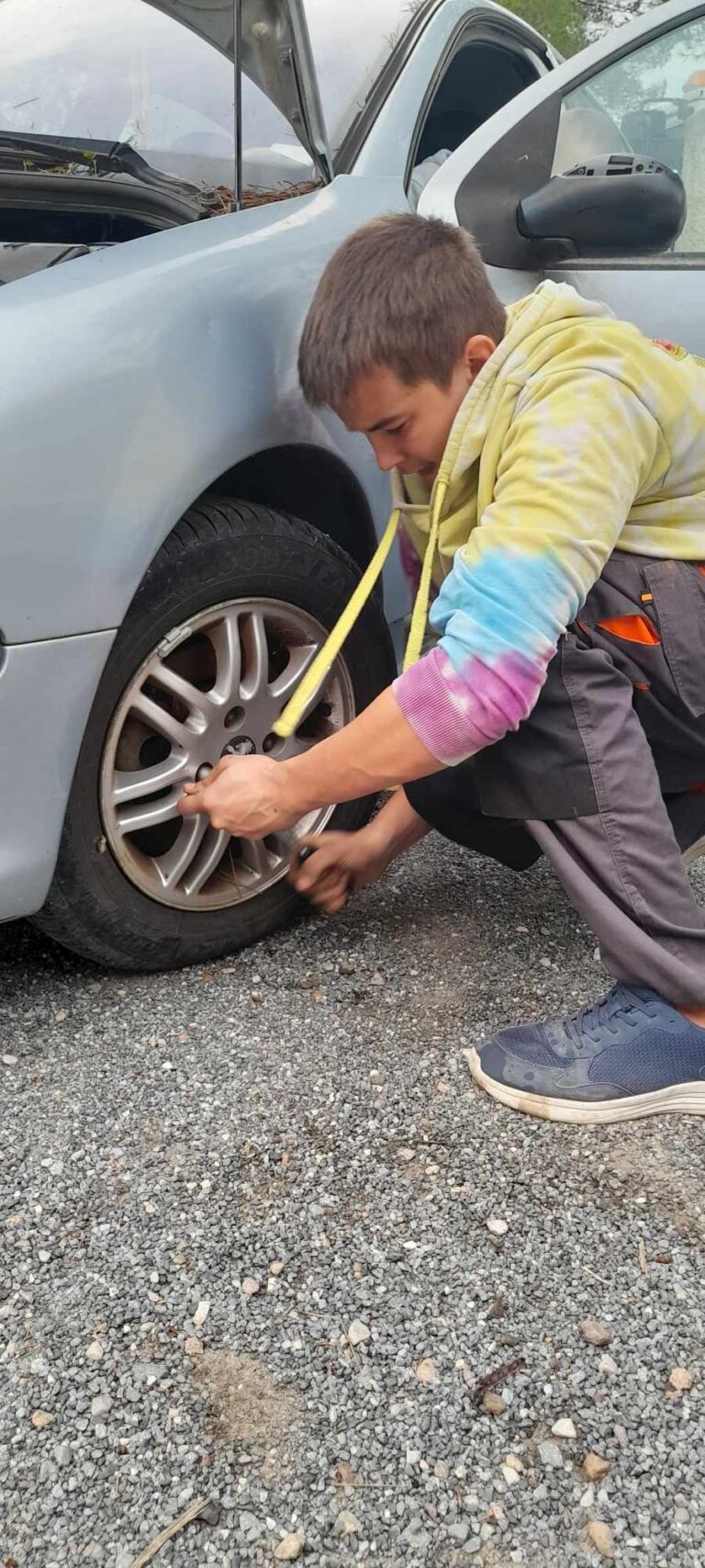 Mechanicy galeria Praktyki Vet we Francji (4)