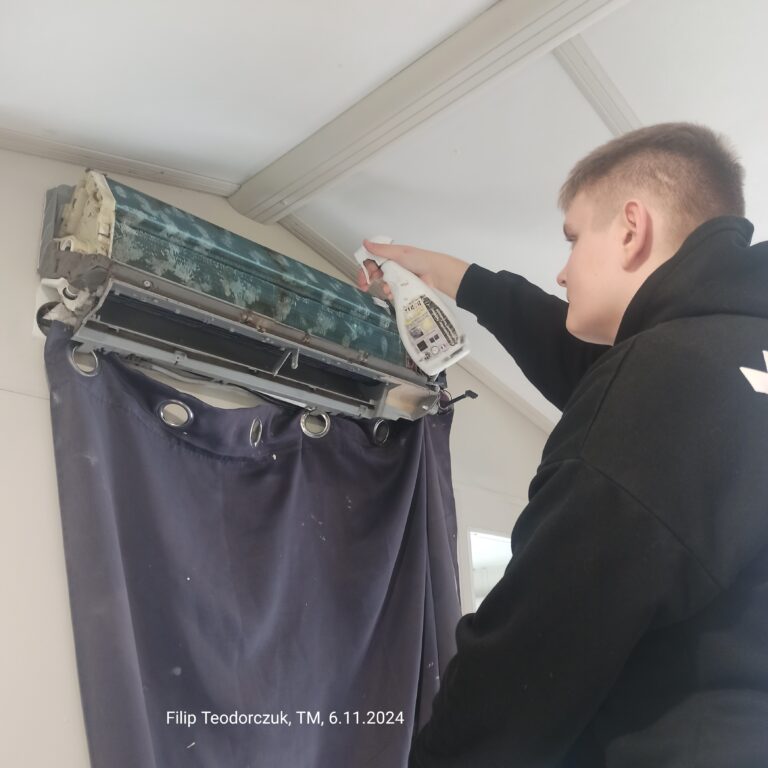 Mechatronicy galeria Praktyki Vet we Francji (13)